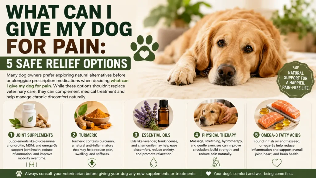 Natural and Alternative Pain Relief Options