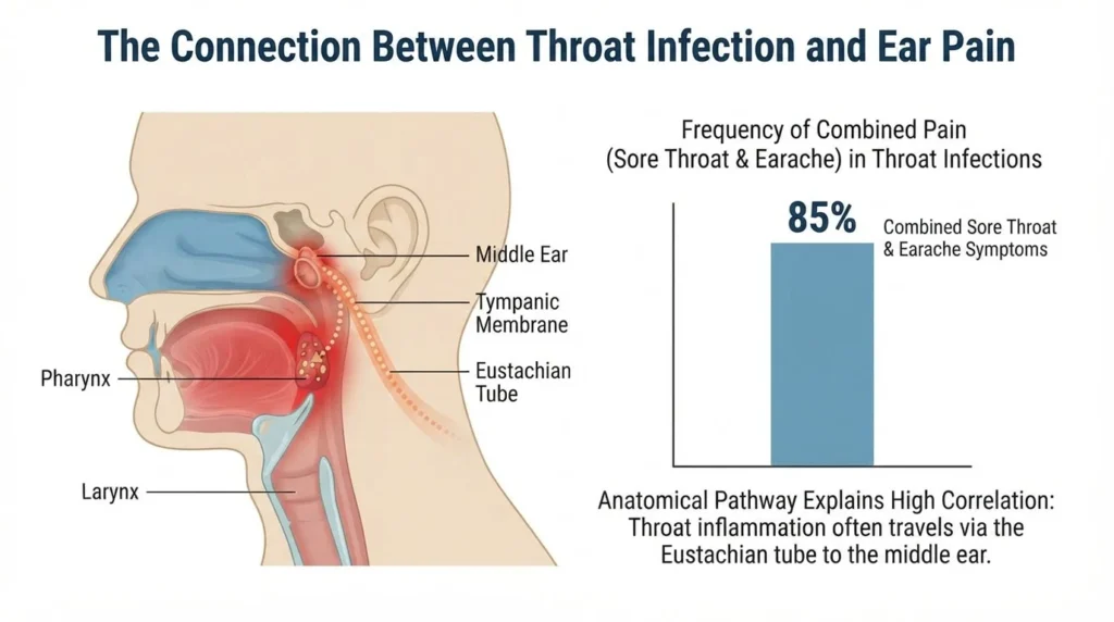 Studies consistently show that the painful sore throat and earache combination occurs in 80 to 90 percent of throat infections. This high frequency reflects the anatomical connection between these structures.